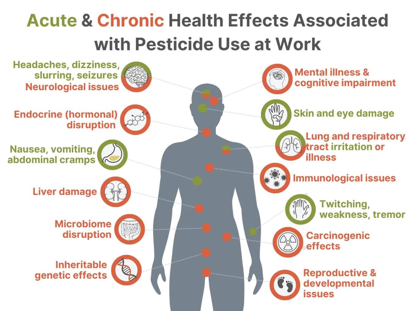 Pesticide Exposure and Health Risks