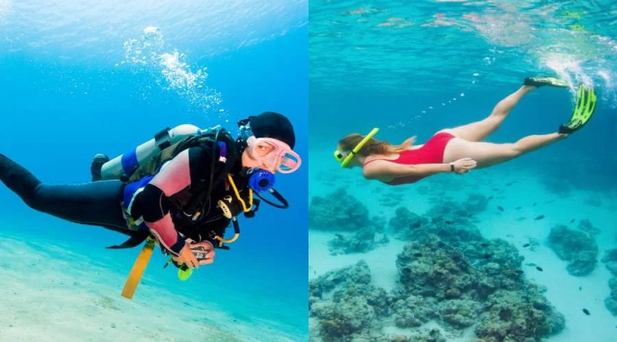 Scuba Diving and Snorkeling