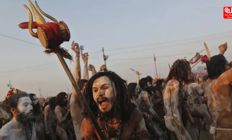 Mahakumbh 2025 The Reserve Force of Sanatan Dharma - Naga Sadhus