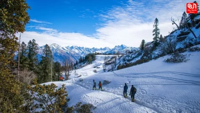 Travel Ideas: 5 Unique Locations To Experience Snowfall In Himachal Pradesh