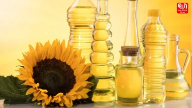 Sunflower Oil