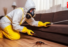 Pest Control