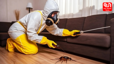 Pest Control