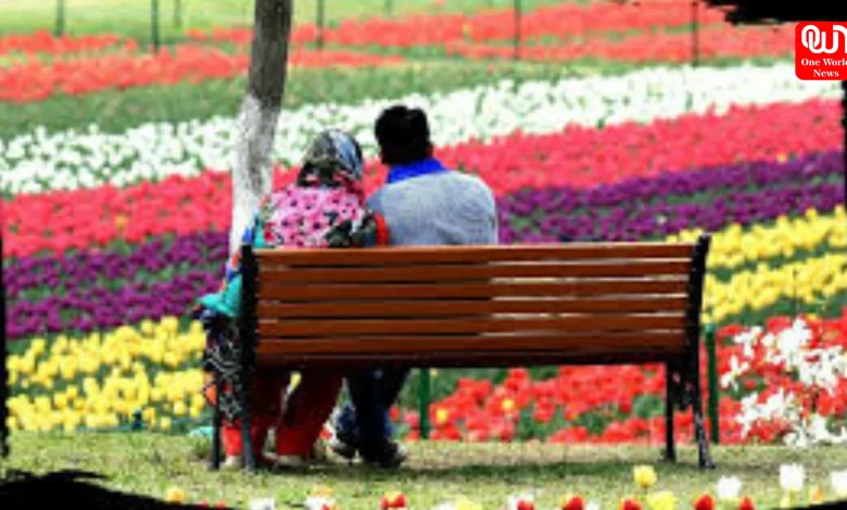 Kashmiri Boyfriend