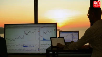 Alpha in Investing