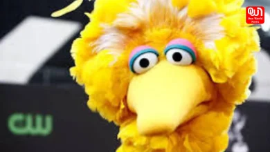 Big Bird to Beyoncé