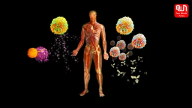Immune System