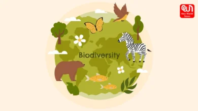 International Day for Biological Diversity