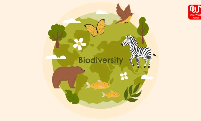 International Day for Biological Diversity