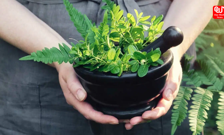 National Herb Day