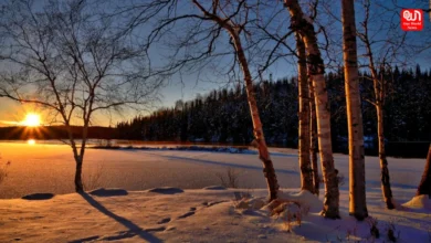 June Solstice