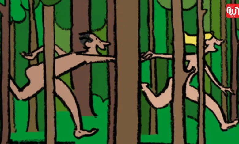 Sex in the Woods