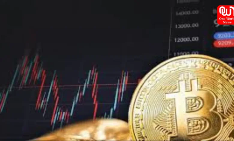crypto craze