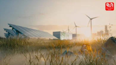 World wind day