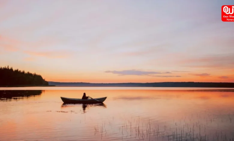 Midnight Sun