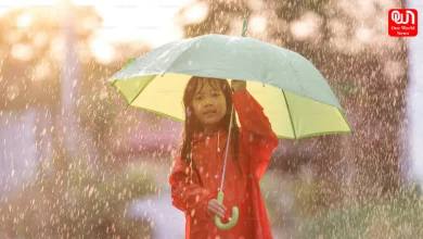 Rain day