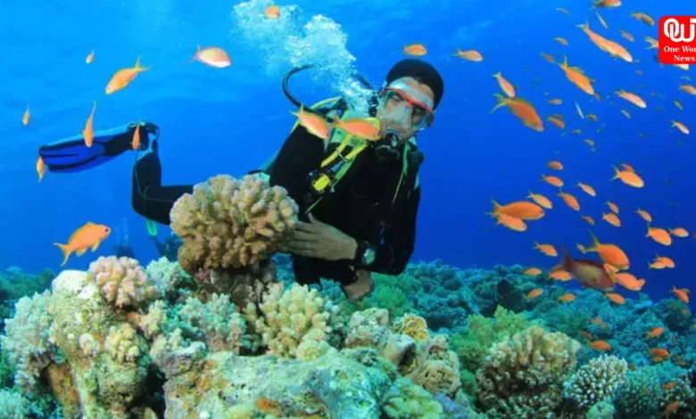 Scuba Diving