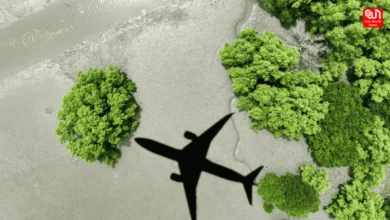 Travel Green