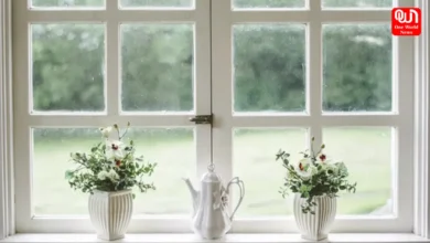 Window Sill