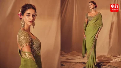 Ananya Panday, Embroidered Saree, Ganesh Chaturthi