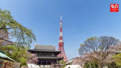 First Time in Japan