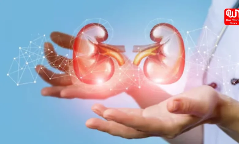 Kidney Transplant