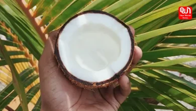 National Coconut Week