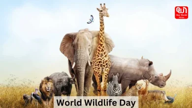 National Wildlife Day