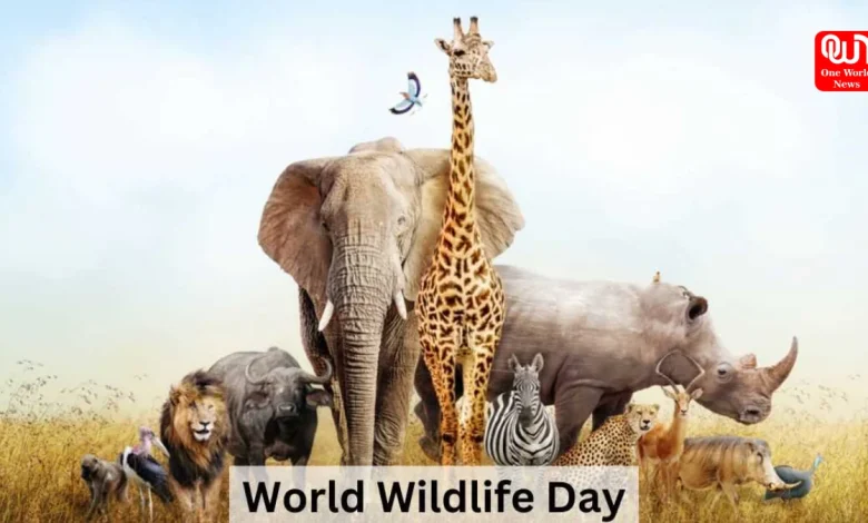National Wildlife Day