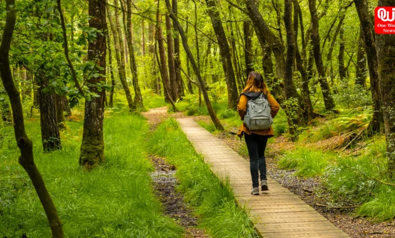 Nature Walks