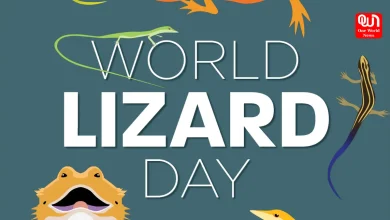 World Lizard Day