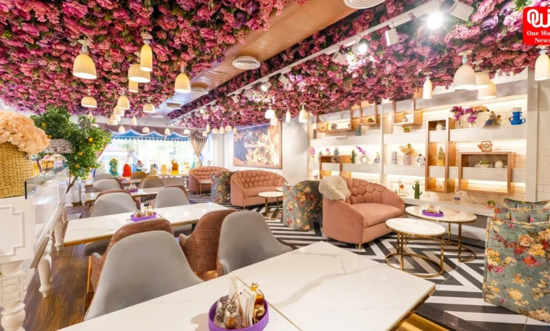 Aesthetic Cafes