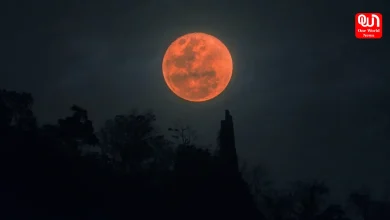 Lunar Eclipse 2025