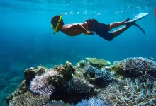 Secret Snorkeling Spots