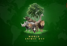World Animal Day