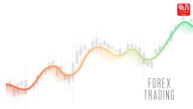 Forex Trade
