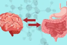 Gut-Brain Connection