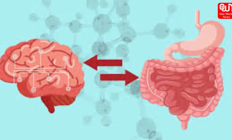 Gut-Brain Connection