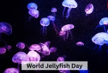 Jellyfish Day