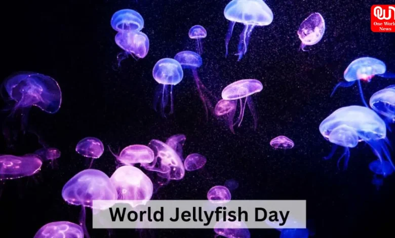 Jellyfish Day