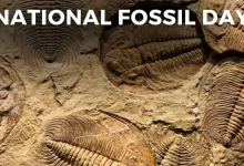 National Fossil Day