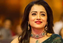 Trisha Marry Soon, Chandigarh Businessman