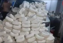 fake paneer