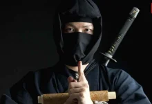 International Ninja Day