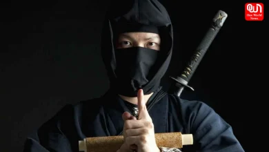 International Ninja Day