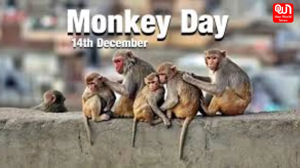 Monkey Day