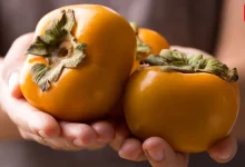 Persimmons, Persimmons Winter, Eat Persimmons