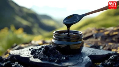 Shilajit
