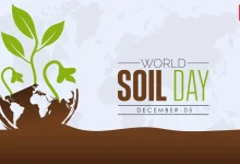 World Soil Day