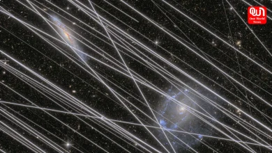 Rising Satellite Numbers Pose